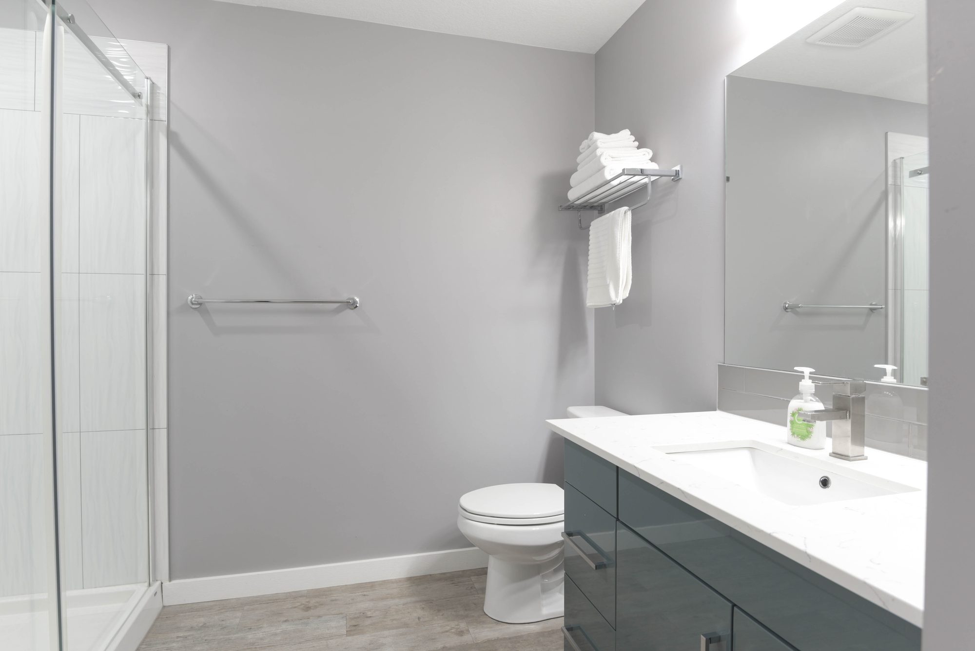 One bedroom bathroom with walk-in shower, toilet, and quartz vanity